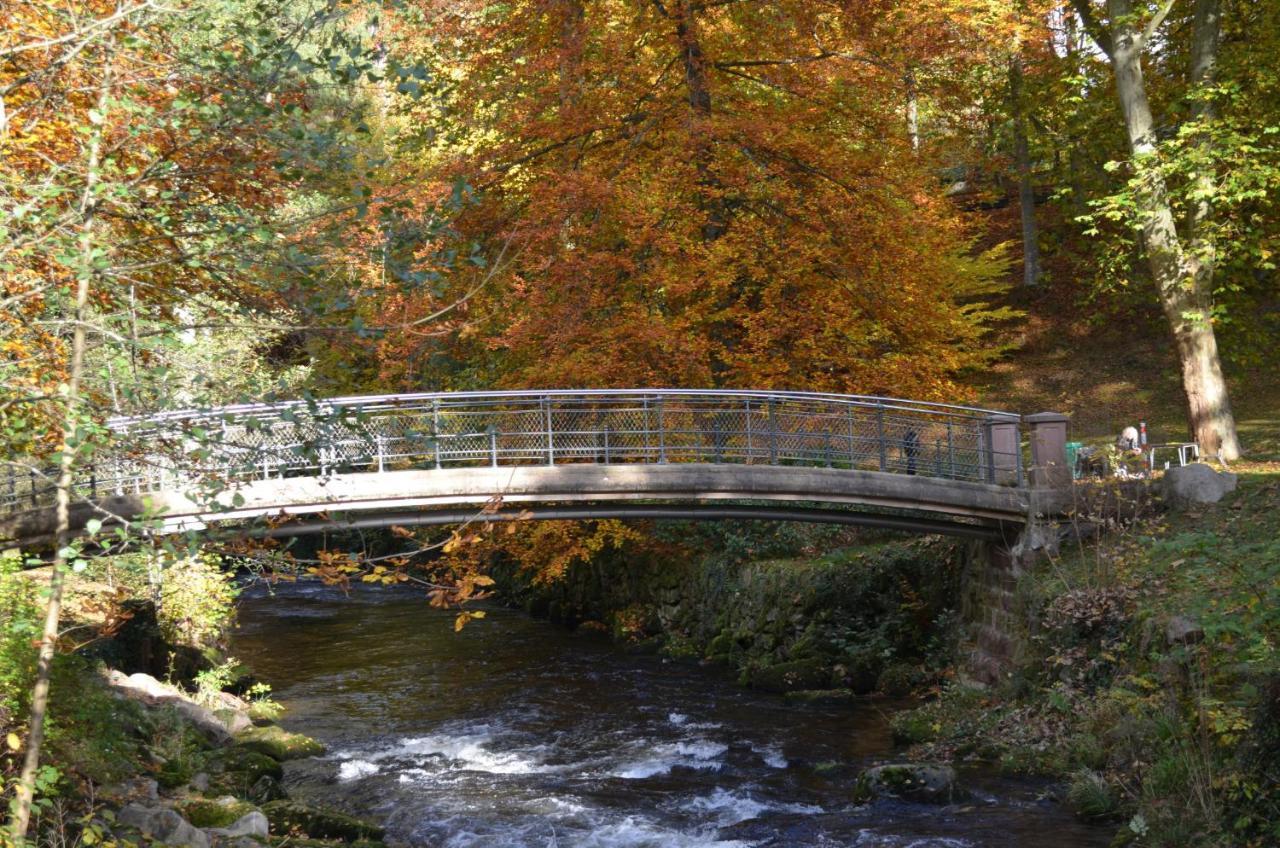 Wildbad Sued