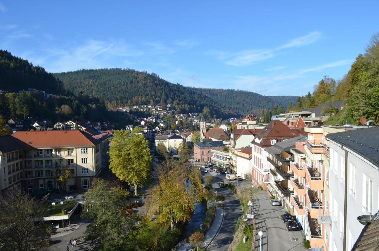 Wildbad Sued *