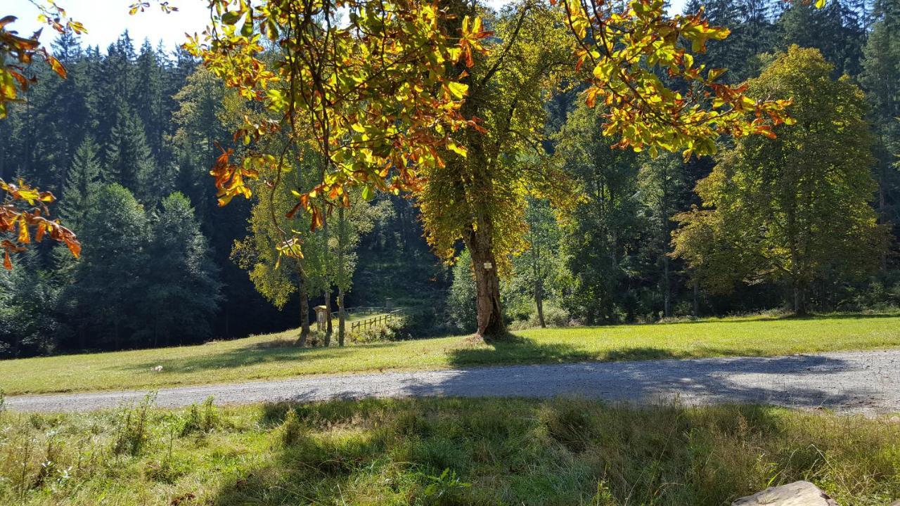 Wildbad Sued