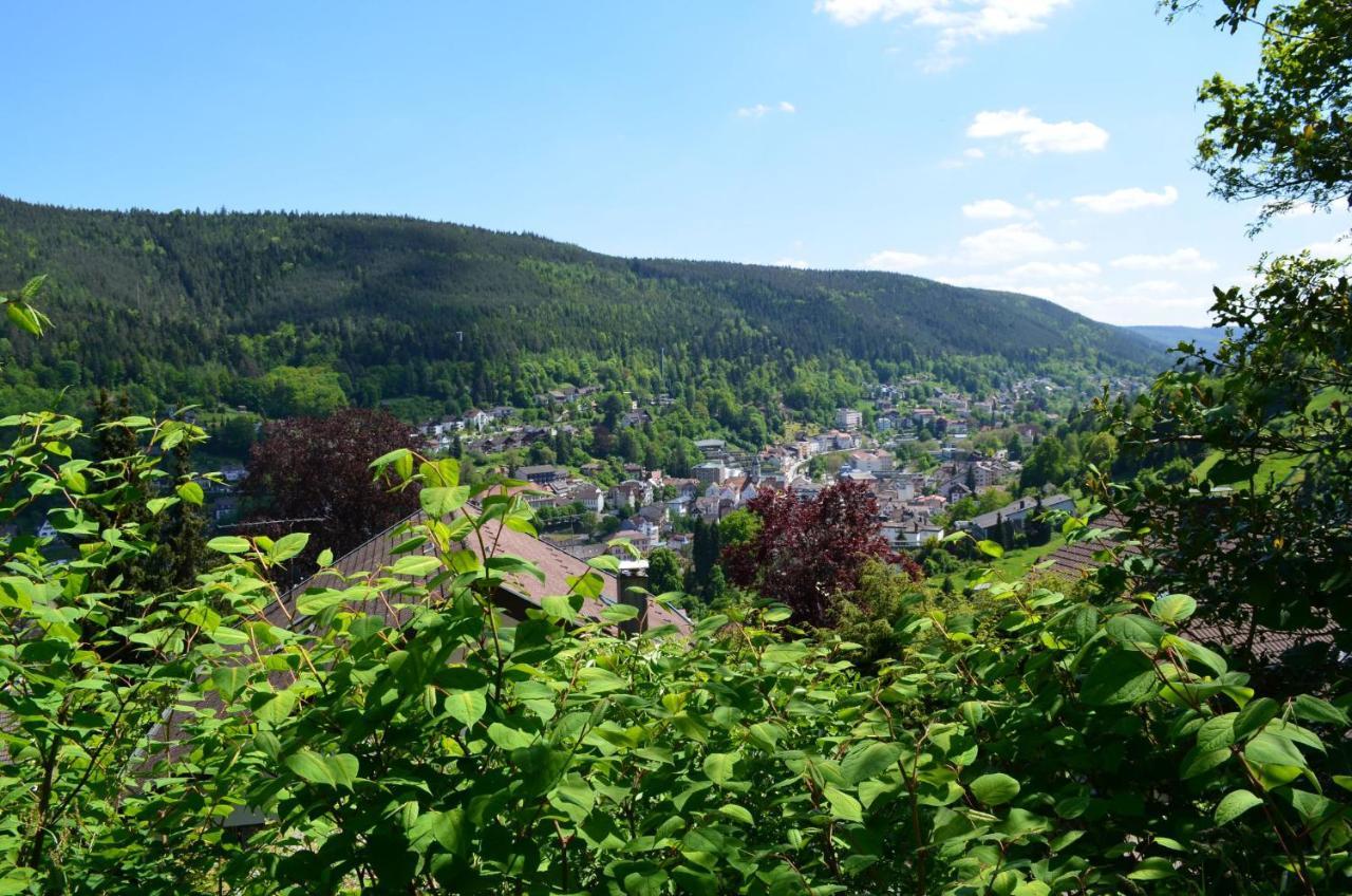 Wildbad Sued Appartement